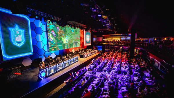 森林狼不仅 森林狼不仅