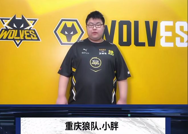 体现了专业